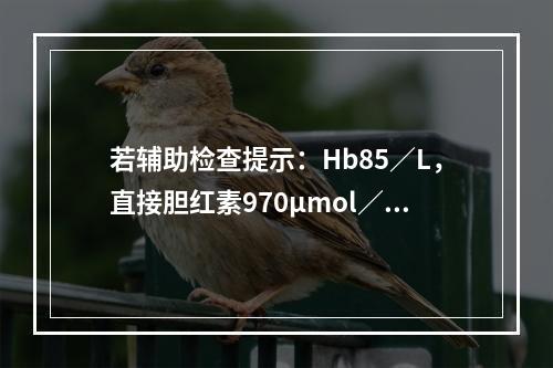 若辅助检查提示：Hb85／L，直接胆红素970μmol／L，