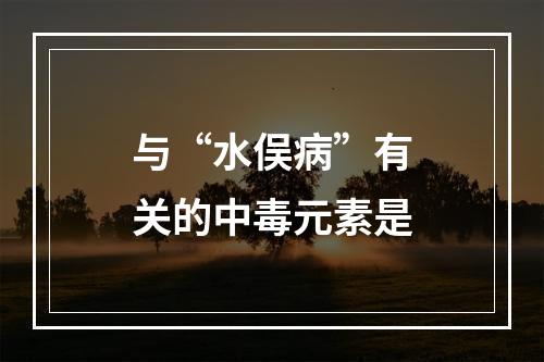 与“水俣病”有关的中毒元素是