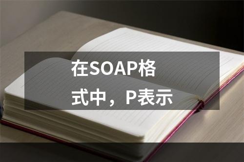 在SOAP格式中，P表示