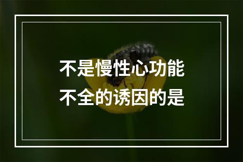 不是慢性心功能不全的诱因的是