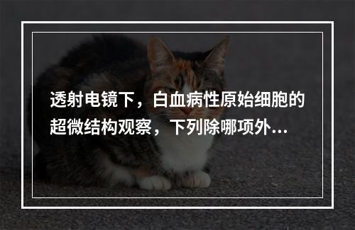 透射电镜下，白血病性原始细胞的超微结构观察，下列除哪项外均可