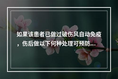 如果该患者已做过破伤风自动免疫，伤后做以下何种处理可预防破伤