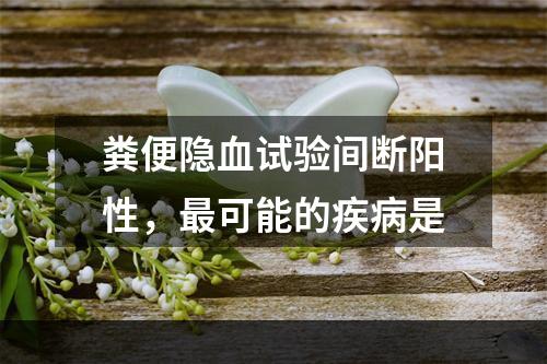 粪便隐血试验间断阳性，最可能的疾病是