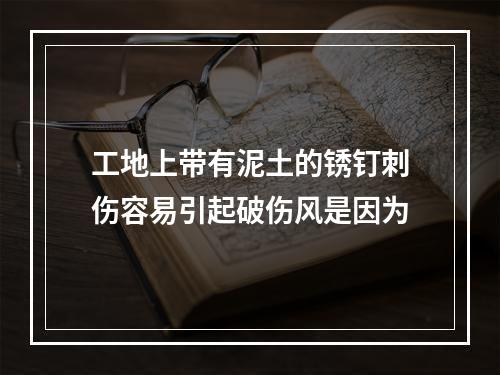 工地上带有泥土的锈钉刺伤容易引起破伤风是因为