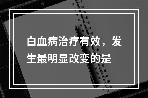 白血病治疗有效，发生最明显改变的是