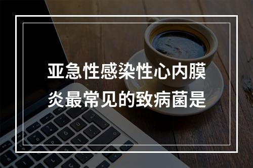 亚急性感染性心内膜炎最常见的致病菌是