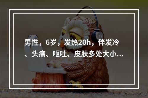 男性，6岁，发热20h，伴发冷、头痛、呕吐、皮肤多处大小不等