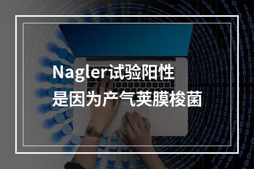 Nagler试验阳性是因为产气荚膜梭菌