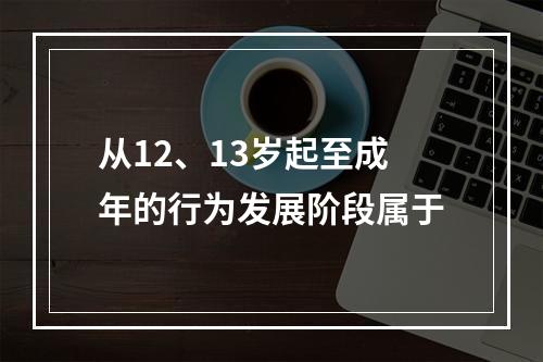 从12、13岁起至成年的行为发展阶段属于