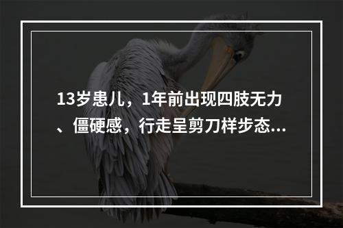 13岁患儿，1年前出现四肢无力、僵硬感，行走呈剪刀样步态，病