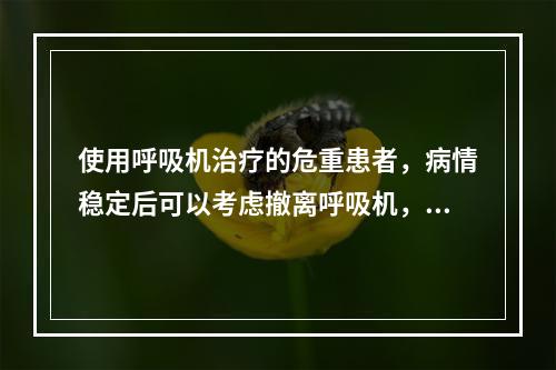 使用呼吸机治疗的危重患者，病情稳定后可以考虑撤离呼吸机，关于