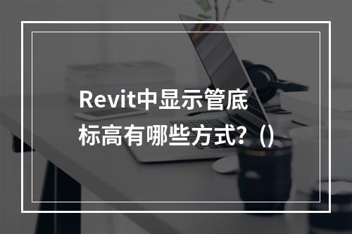 Revit中显示管底标高有哪些方式？()