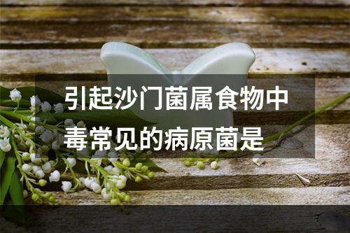 引起沙门菌属食物中毒常见的病原菌是