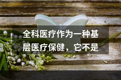 全科医疗作为一种基层医疗保健，它不是