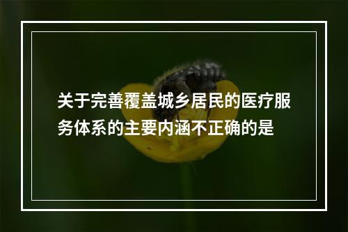 关于完善覆盖城乡居民的医疗服务体系的主要内涵不正确的是