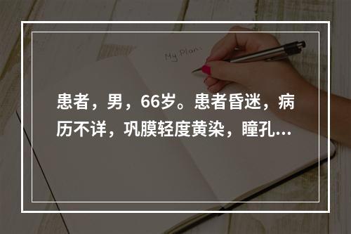 患者，男，66岁。患者昏迷，病历不详，巩膜轻度黄染，瞳孔等大