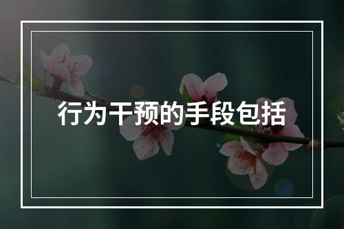 行为干预的手段包括