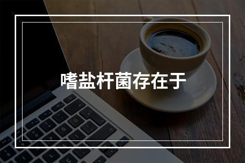 嗜盐杆菌存在于