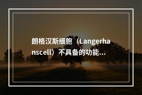 朗格汉斯细胞（Langerhanscell）不具备的功能是