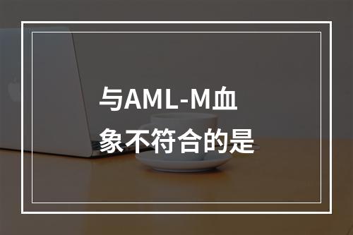 与AML-M血象不符合的是