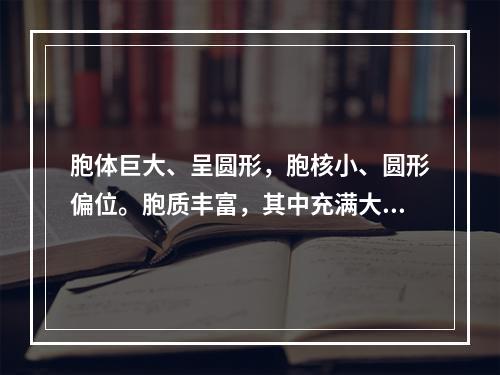 胞体巨大、呈圆形，胞核小、圆形偏位。胞质丰富，其中充满大小均