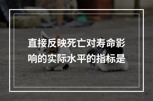 直接反映死亡对寿命影响的实际水平的指标是