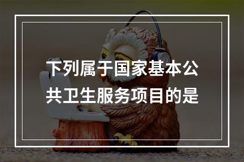 下列属于国家基本公共卫生服务项目的是