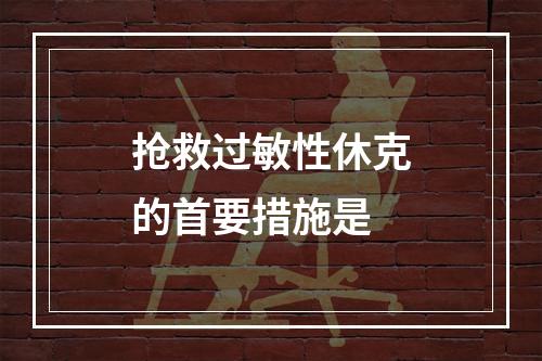 抢救过敏性休克的首要措施是