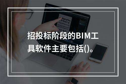 招投标阶段的BIM工具软件主要包括()。