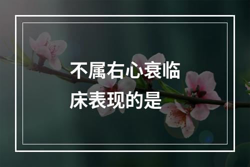 不属右心衰临床表现的是