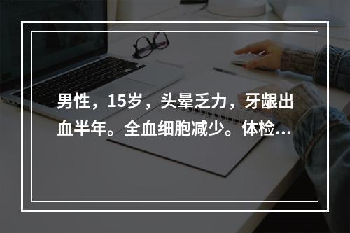 男性，15岁，头晕乏力，牙龈出血半年。全血细胞减少。体检：贫