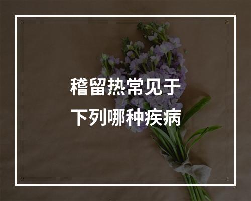 稽留热常见于下列哪种疾病