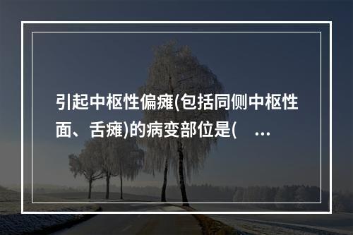 引起中枢性偏瘫(包括同侧中枢性面、舌瘫)的病变部位是(　　)