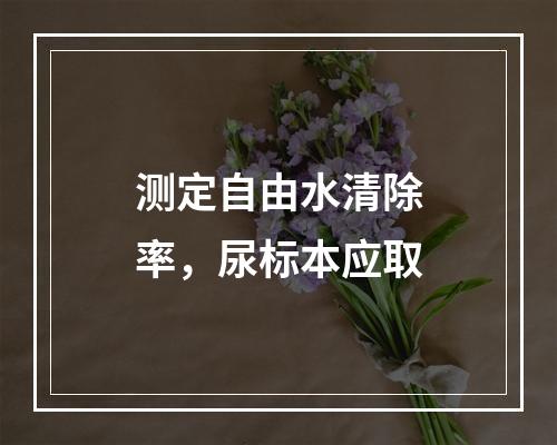 测定自由水清除率，尿标本应取