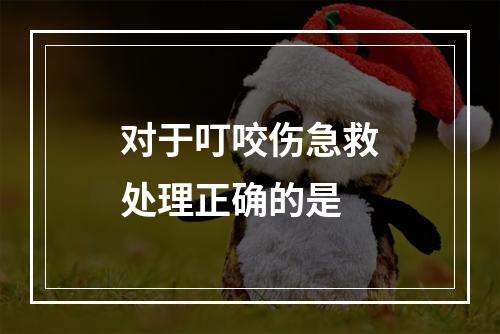 对于叮咬伤急救处理正确的是