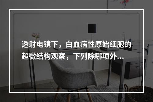 透射电镜下，白血病性原始细胞的超微结构观察，下列除哪项外均可