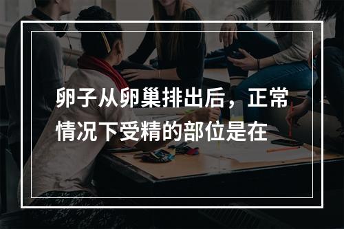 卵子从卵巢排出后，正常情况下受精的部位是在