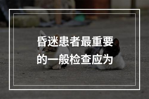 昏迷患者最重要的一般检查应为