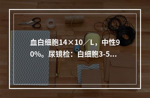 血白细胞14×10／L，中性90%。尿镜检：白细胞3-5/H