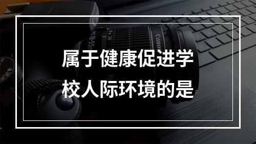 属于健康促进学校人际环境的是