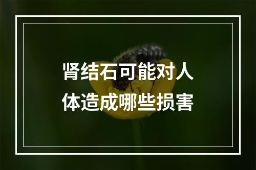 肾结石可能对人体造成哪些损害