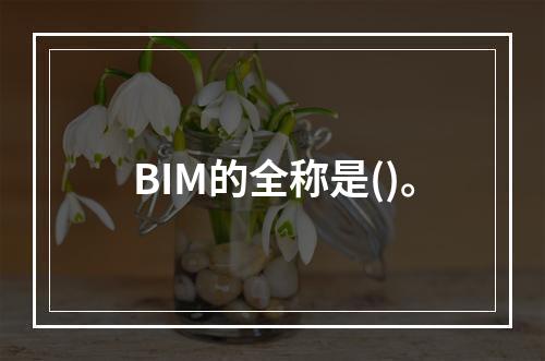 BIM的全称是()。