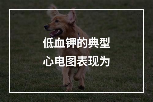 低血钾的典型心电图表现为