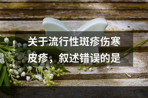 关于流行性斑疹伤寒皮疹，叙述错误的是