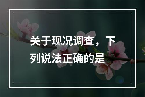 关于现况调查，下列说法正确的是