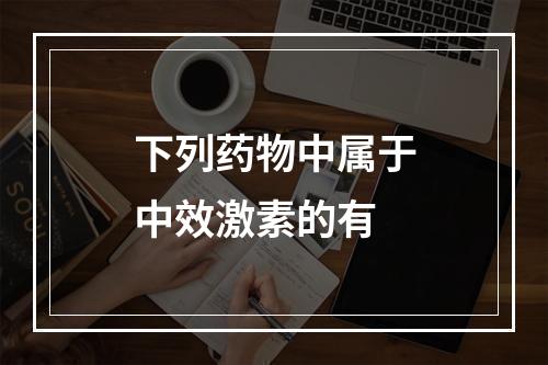 下列药物中属于中效激素的有