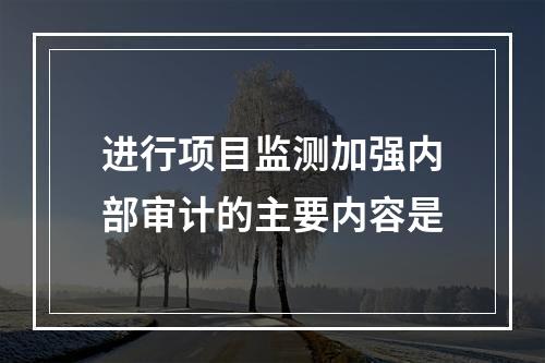 进行项目监测加强内部审计的主要内容是