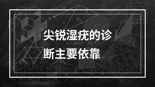 尖锐湿疣的诊断主要依靠