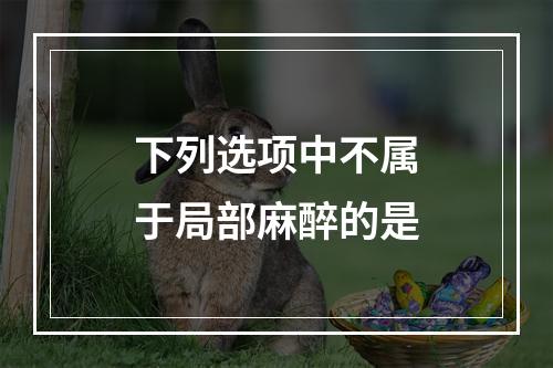 下列选项中不属于局部麻醉的是