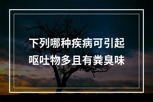 下列哪种疾病可引起呕吐物多且有粪臭味